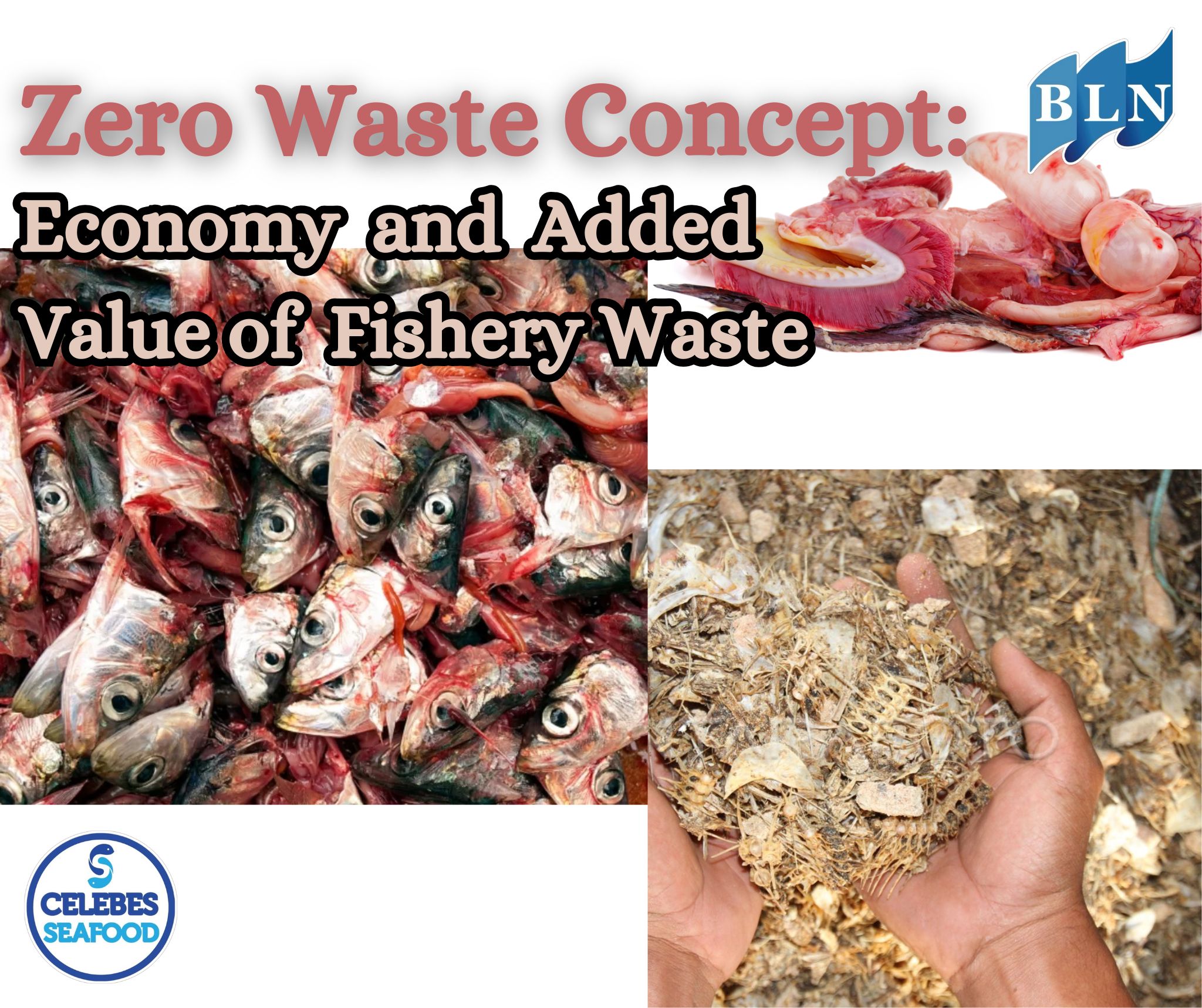 Zero Waste Concept: Economic Opportunities and Added Value from Fisheries Waste